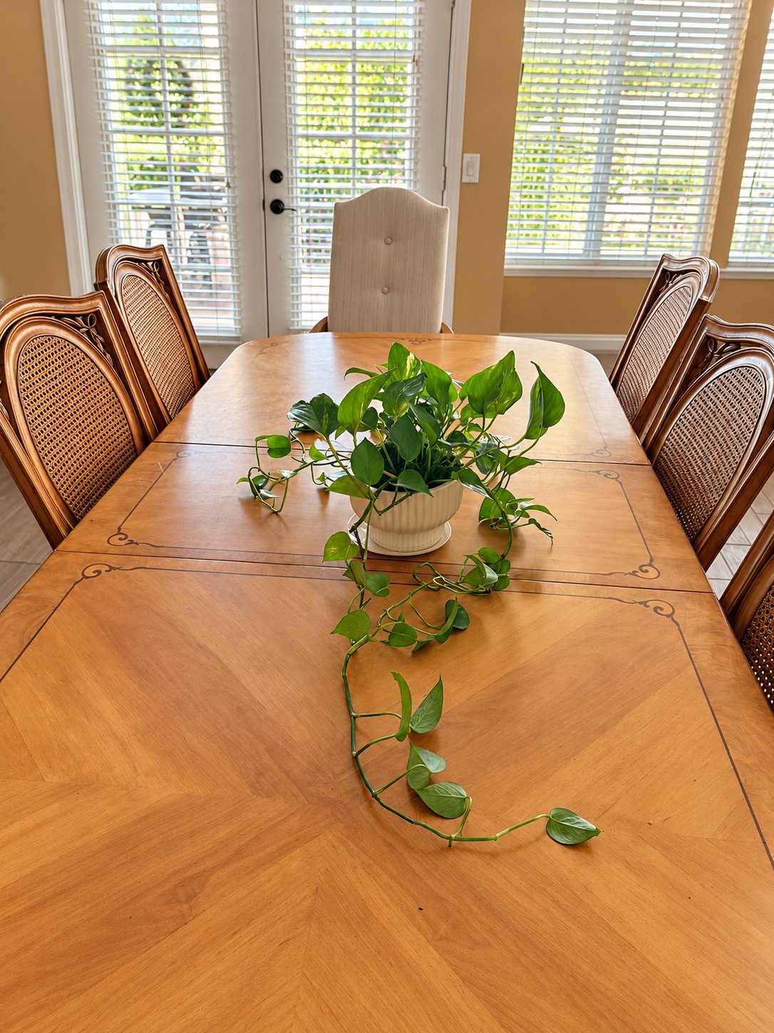 Dining table window view